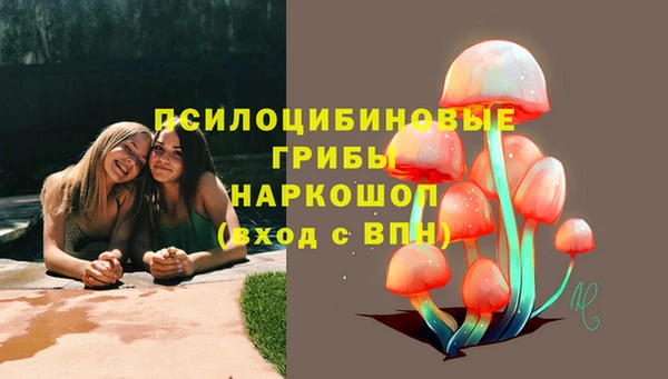 apvp Алексеевка