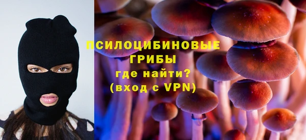 а пвп мука Алзамай
