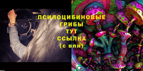 а пвп мука Алзамай