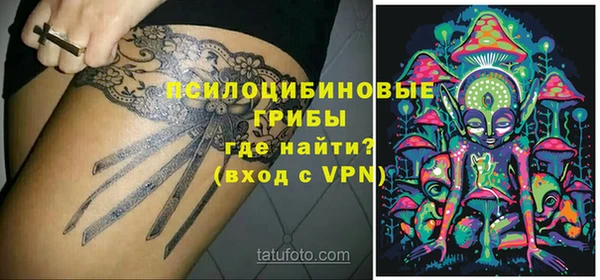apvp Алексеевка